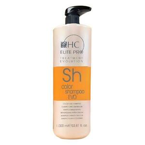 Organikus sampon a festett haj ápolására - HairConcept Color Shampoo EVO, 1000 ml kép