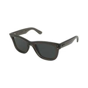 Ray-Ban Ray-Ban Wayfarer Reverse RBR0502S 6707GR kép