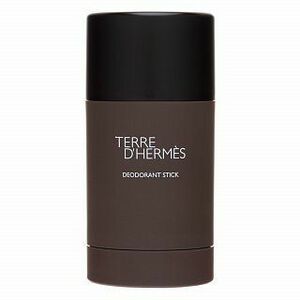 Hermes Terre D'Hermes deostick férfiaknak 75 ml kép