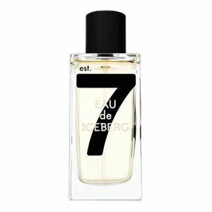 Iceberg Eau de Iceberg 74 Pour Homme Eau de Toilette férfiaknak 100 ml kép