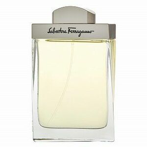 Salvatore Ferragamo Pour Homme Eau de Toilette férfiaknak 100 ml kép