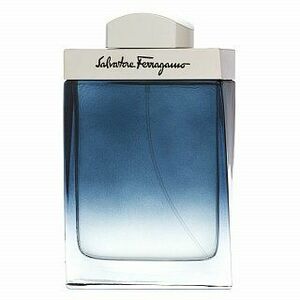 Salvatore Ferragamo Subtil Pour Homme Eau de Toilette férfiaknak 100 ml kép