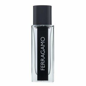 Salvatore Ferragamo Ferragamo Eau de Toilette férfiaknak 30 ml kép