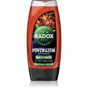 Radox Men Invigorating fürdőgél férfiaknak 3 az 1-ben 225 ml kép