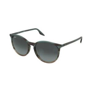 Ray-Ban Ray-Ban RB2204F 1394GK kép