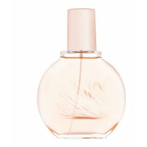 Miss Vanderbilt EDT 100 ml kép