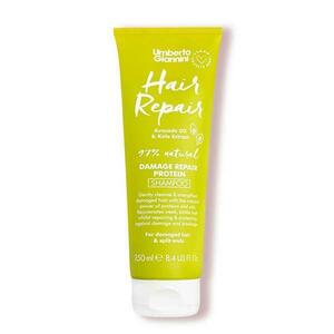 Javító sampon avokádóolajjal és kale kivonattal – Umberto Giannini Hair Repair, 250 ml kép