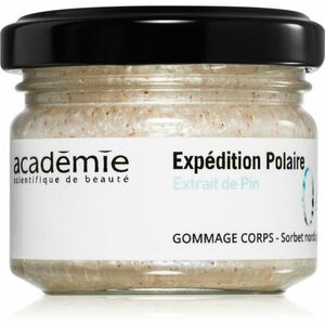 Académie Scientifique de Beauté Nordic Sorbet testradír 60 ml kép