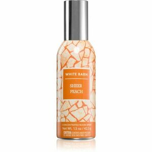 Bath & Body Works Sheer Peach lakásparfüm 42, 5 g kép