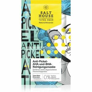 Salt House Natural Minerals Anti-pimple AHA and BHA Cleansing Mask tisztító maszk 2x6 ml kép