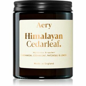 Aery Fernweh Himalyan Cedarleaf illatgyertya 140 g kép