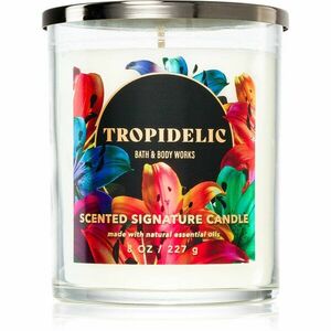 Bath & Body Works Tropidelic illatgyertya 227 g kép