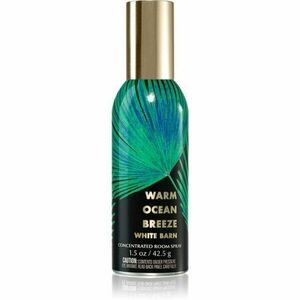 Bath & Body Works Warm Ocean lakásparfüm 42, 5 g kép