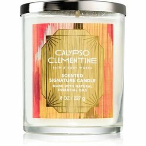 Bath & Body Works Calypso Clementine illatgyertya 227 g kép