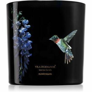 Vila Hermanos Jungletopia Hummingbird illatgyertya 620 g kép