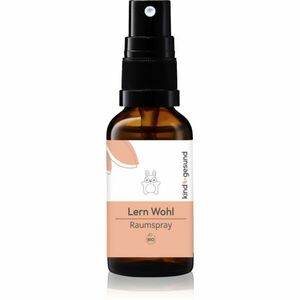 Kindgesund Learn Well Spray lakásparfüm gyermekeknek 30 ml kép