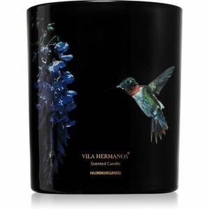 Vila Hermanos Jungletopia Hummingbird illatgyertya 200 g kép