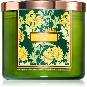 Bath & Body Works Greenhouse Fern illatgyertya 411 g kép