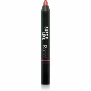 Rodial Suede Lips mattító rúzs ceruzában árnyalat Black Berry 2, 4 g kép