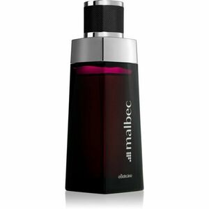 Malbec Malbec Eau de Toilette uraknak 100 ml kép