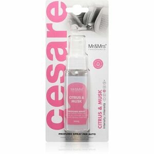 Mr & Mrs Fragrance Cesare Citrus & Musk légfrissítő autóba 50 ml kép