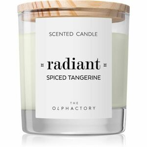 Ambientair The Olphactory Spiced Tangerine illatgyertya Radiant 200 g kép