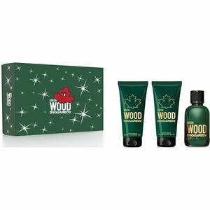 Dsquared2 Wood Eau de Toilette férfiaknak 100 ml kép