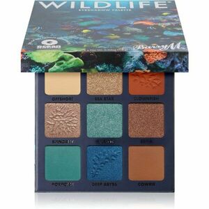 Barry M Wildlife Ocean szemhéjfesték paletta 10, 8 g kép