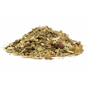 Yerba Mate erdei gyümölcs, 10g kép