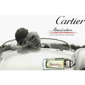 Roadster Sport EDT 100 ml kép