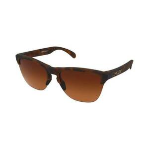 Oakley Oakley Frogskins Lite OO9374 937450 kép