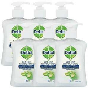 Dettol aloe verás folyékony Szappan 6x250ml kép