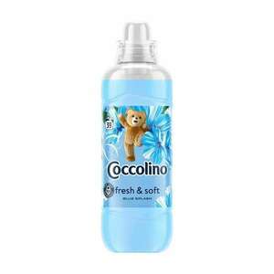 öblítő koncentrátum 975 ml (39 mosás) coccolino blue splash kép