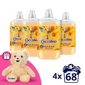 Coccolino Orange Rush Öblítő koncentrátum 272 mosás (4x1700ml) + Ajándék Coccolino Maci kép