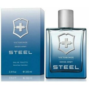 Steel EDT 100 ml kép