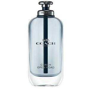 Coach Coach For Men EDT 100 ml férfi kép