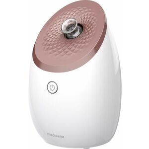 DS 600 Nano-Ionic Facial Steamer (88248) kép