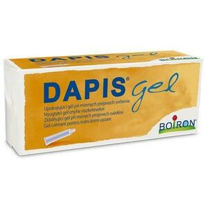 Dapisgel 40 g - Rovarcsípés Enyhítő kép