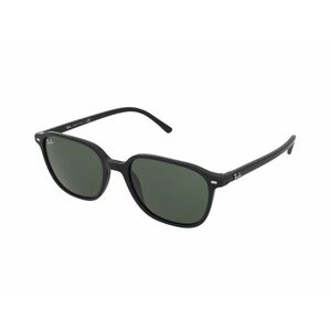 Ray-Ban Ray-Ban Leonard RB2193 901/31 kép