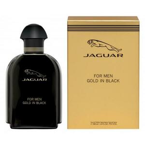 Jaguar Jaguar For Men - EDT 100 ml kép