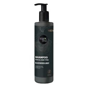 Férfi Sampon, Minden Hajtípusra - Organic Shop Men Blackwood & Mint Shampoo For All Hair Types, 280 ml kép