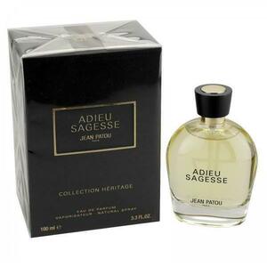 Adieu Sagesse EDP 100 ml kép