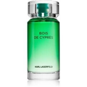 Bois de Cypres EDT 100 ml kép