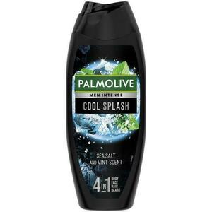 Cool Splash 500 ml kép