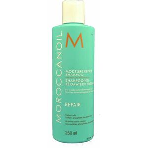 Moisture Repair sampon argán olajjal gyenge és sérült hajra 70 ml kép