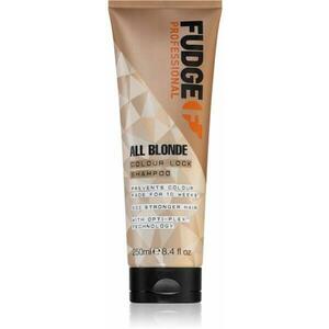 All Blonde Colour Lock védő sampon festett hajra 250 ml kép