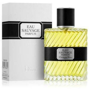 Dior Dior Sauvage Parfum - parfüm 100 ml kép