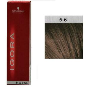 Igora Royal 6-6 60 ml kép