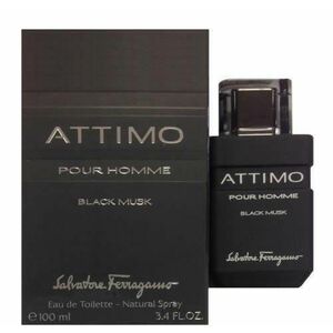 Attimo Black Musk pour Homme EDT 100 ml kép