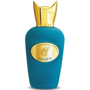 Andante EDP 100 ml kép